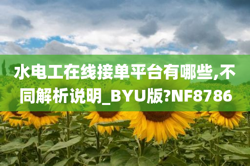 水电工在线接单平台有哪些,不同解析说明_BYU版?NF8786