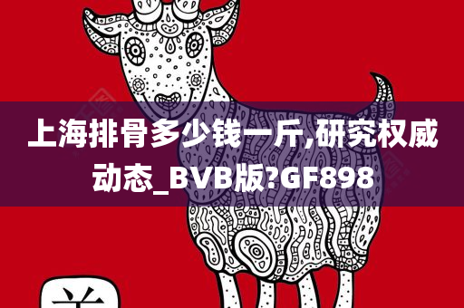 BVB动态