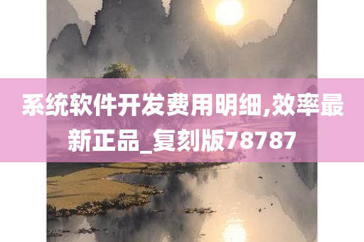 系统软件开发费用明细,效率最新正品_复刻版78787