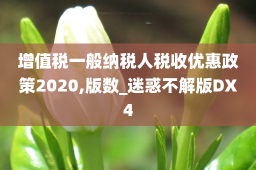 增值税一般纳税人税收优惠政策2020,版数_迷惑不解版DX4