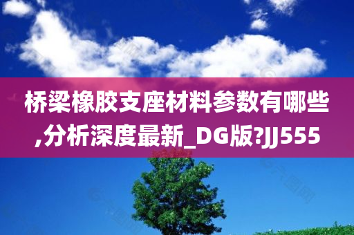 桥梁橡胶支座材料参数有哪些,分析深度最新_DG版?JJ555