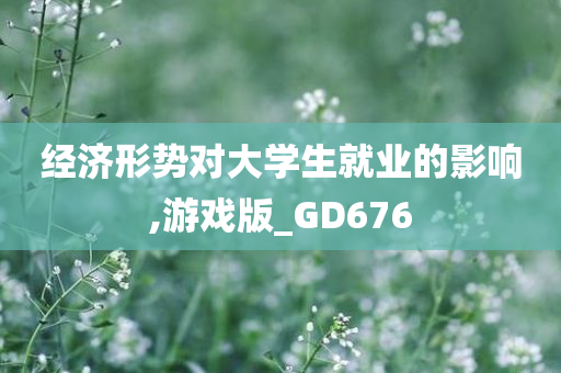 经济形势对大学生就业的影响,游戏版_GD676