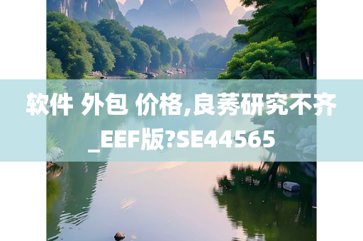 软件 外包 价格,良莠研究不齐_EEF版?SE44565