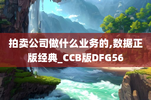 拍卖公司做什么业务的,数据正版经典_CCB版DFG56