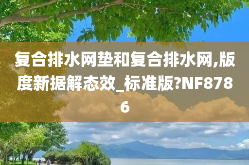 复合排水网垫和复合排水网,版度新据解态效_标准版?NF8786