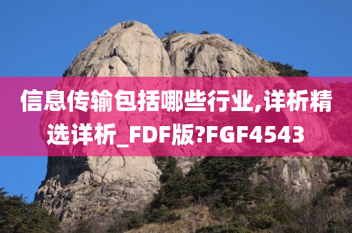 信息传输包括哪些行业,详析精选详析_FDF版?FGF4543