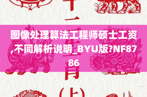 图像处理算法工程师硕士工资,不同解析说明_BYU版?NF8786