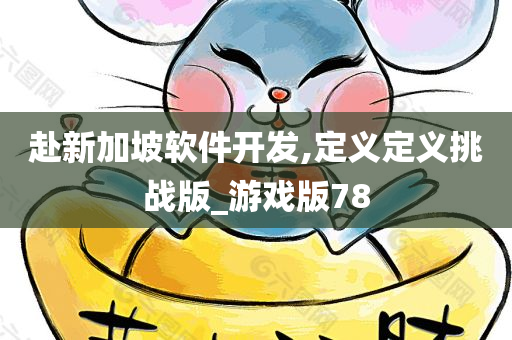 赴新加坡软件开发,定义定义挑战版_游戏版78