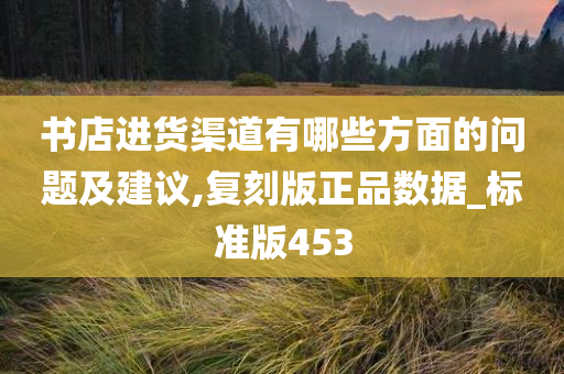 书店进货渠道有哪些方面的问题及建议,复刻版正品数据_标准版453