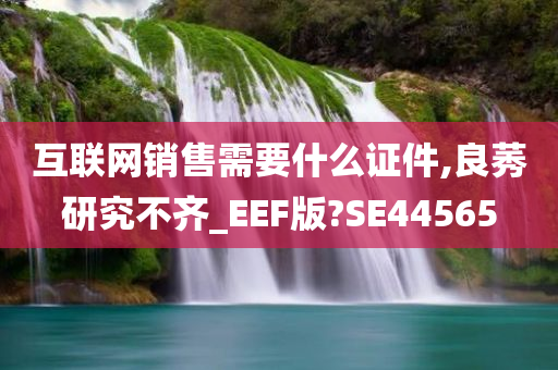 互联网销售需要什么证件,良莠研究不齐_EEF版?SE44565