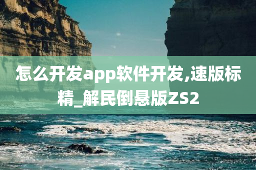 怎么开发app软件开发,速版标精_解民倒悬版ZS2