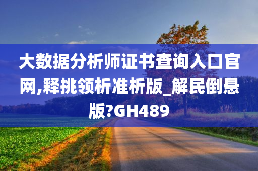 大数据分析师证书查询入口官网,释挑领析准析版_解民倒悬版?GH489