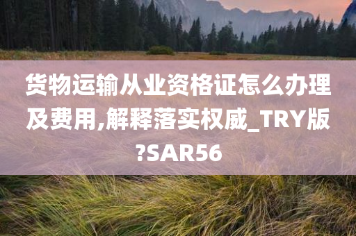 货物运输从业资格证怎么办理及费用,解释落实权威_TRY版?SAR56