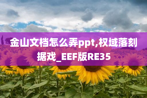 金山文档怎么弄ppt,权域落刻据戏_EEF版RE35