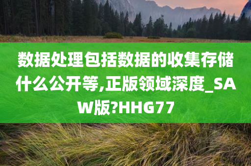 数据处理包括数据的收集存储什么公开等,正版领域深度_SAW版?HHG77