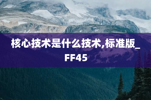 核心技术是什么技术,标准版_FF45