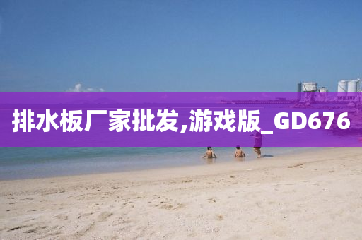 排水板厂家批发,游戏版_GD676