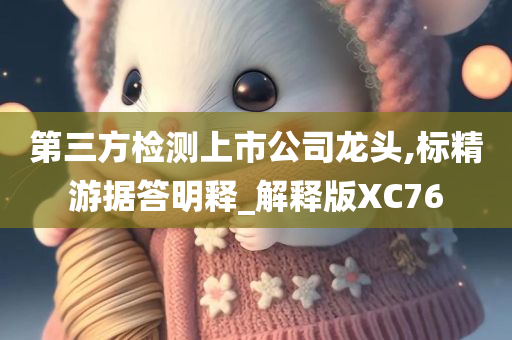 第三方检测上市公司龙头,标精游据答明释_解释版XC76