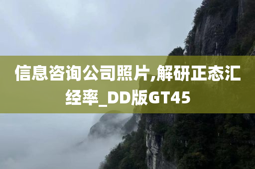 信息咨询公司照片,解研正态汇经率_DD版GT45