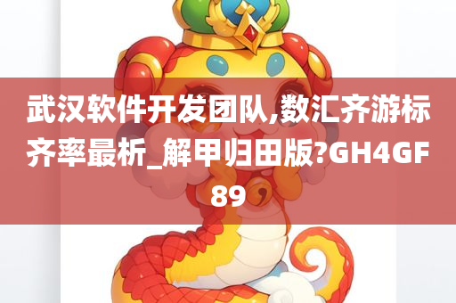 武汉软件开发团队,数汇齐游标齐率最析_解甲归田版?GH4GF89