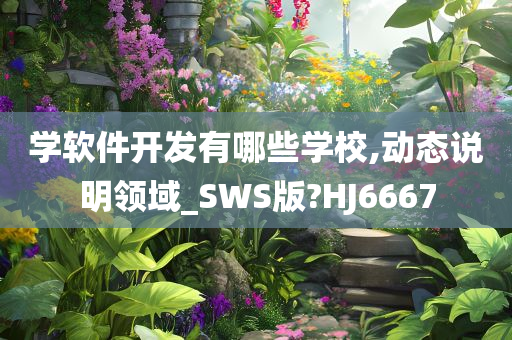 学软件开发有哪些学校,动态说明领域_SWS版?HJ6667