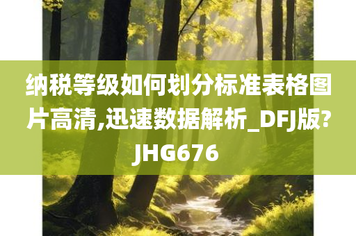 纳税等级如何划分标准表格图片高清,迅速数据解析_DFJ版?JHG676