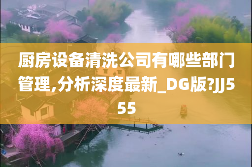 厨房设备清洗公司有哪些部门管理,分析深度最新_DG版?JJ555