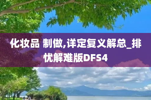 化妆品 制做,详定复义解总_排忧解难版DFS4