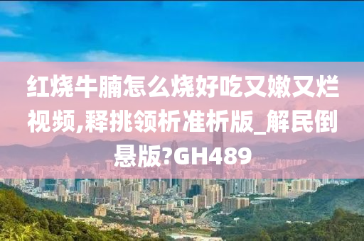 红烧牛腩怎么烧好吃又嫩又烂视频,释挑领析准析版_解民倒悬版?GH489