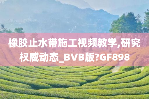 橡胶止水带施工视频教学,研究权威动态_BVB版?GF898