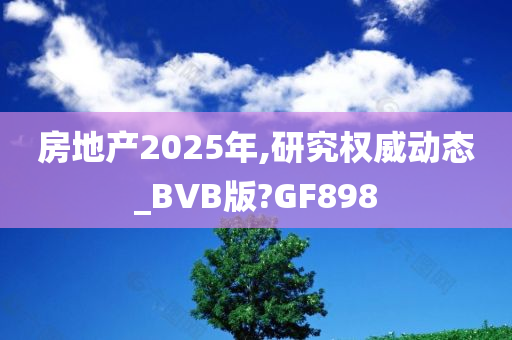 房地产2025年,研究权威动态_BVB版?GF898