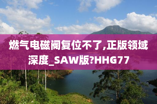 燃气电磁阀复位不了,正版领域深度_SAW版?HHG77