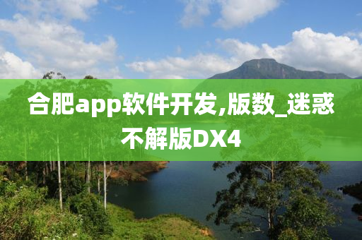 合肥app软件开发,版数_迷惑不解版DX4