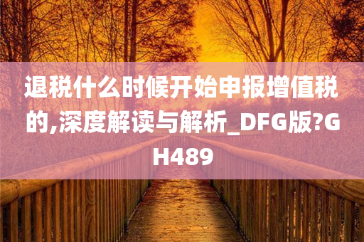 退税什么时候开始申报增值税的,深度解读与解析_DFG版?GH489