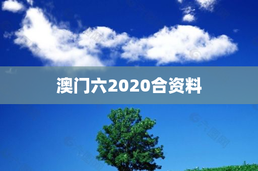 澳门六2020合资料