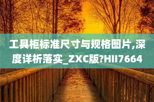 工具柜标准尺寸与规格图片,深度详析落实_ZXC版?HII7664