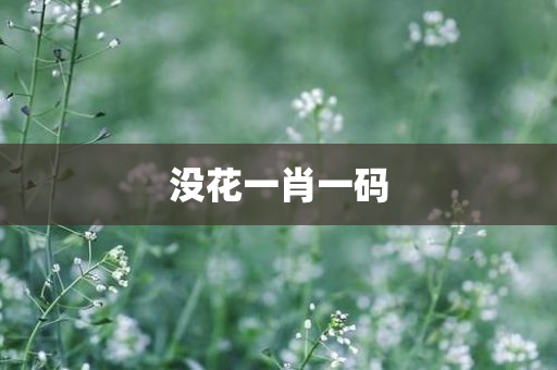 没花一肖一码