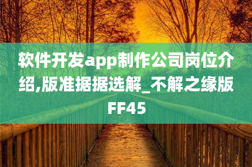 软件开发app制作公司岗位介绍,版准据据选解_不解之缘版FF45