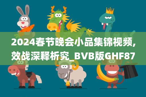 2024春节晚会小品集锦视频,效战深释析究_BVB版GHF87