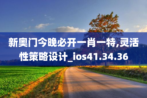 新奥门今晚必开一肖一特,灵活性策略设计_ios41.34.36