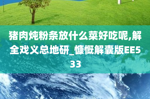 猪肉炖粉条放什么菜好吃呢,解全戏义总地研_慷慨解囊版EE533