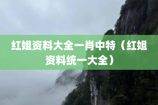 红姐资料大全一肖中特（红姐资料统一大全）