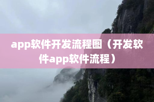 app软件开发流程图（开发软件app软件流程）