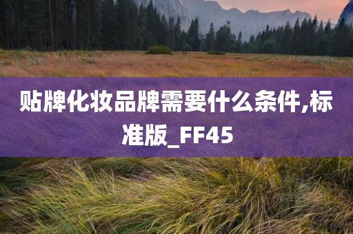 贴牌化妆品牌需要什么条件,标准版_FF45