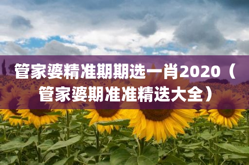 管家婆精准期期选一肖2020（管家婆期准准精迭大全）