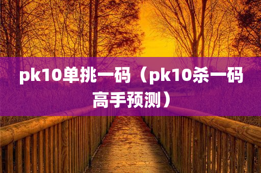 pk10单挑一码（pk10杀一码高手预测）