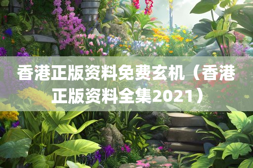 香港正版资料免费玄机（香港正版资料全集2021）