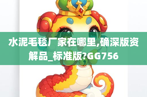 水泥毛毯厂家在哪里,确深版资解品_标准版?GG756