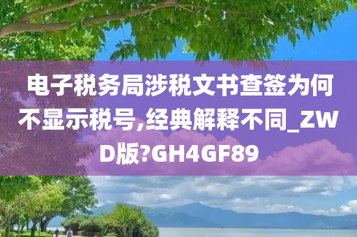 电子税务局涉税文书查签为何不显示税号,经典解释不同_ZWD版?GH4GF89