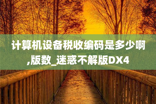 计算机设备税收编码是多少啊,版数_迷惑不解版DX4